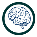 Brain Icon