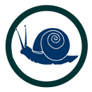 Snail Icon